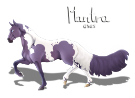 6365 Mantra Thumbnail