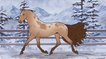 Thumbnail for 10571 Wildflower Westbound