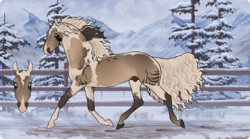 Thumbnail for 10597 Calgary Crown