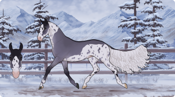 Thumbnail for 10620 LMC Dance Of The Winter