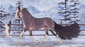 Thumbnail for 10630 CMA Adonis