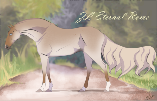 Thumbnail for 10621 ZL Eternal Rome