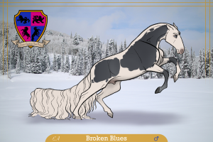 Thumbnail for 9046 Broken Blues