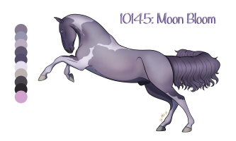 Thumbnail image for 10145 Moon Bloom