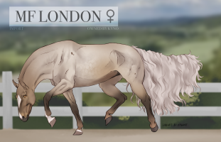 Thumbnail of 2884 MF LONDON