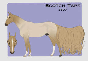 Thumbnail image for 8507 Scotch Tape