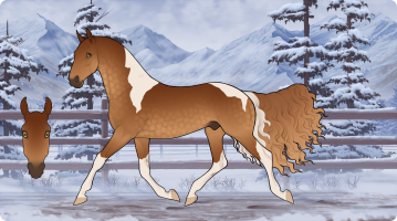 Thumbnail for 10653 Lakeside's Gingersnap