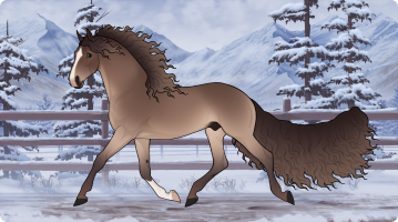 Thumbnail for 10656 Moose