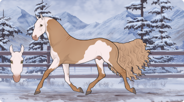 Thumbnail for 10665 Caramel Canvas