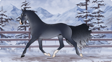 Thumbnail for 10671 BE Stellers Jay