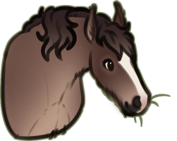 Thumbnail for 10656 Moose