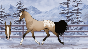 Thumbnail for 10703 Thrill of the Chase