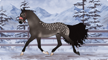 Thumbnail for 10708 STP Dear oh Deer