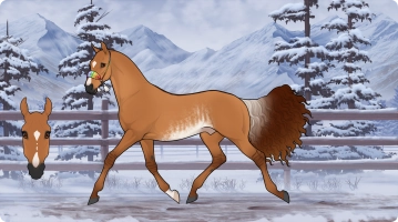 Thumbnail for 1549 RVEC King's Appeal