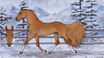 Thumbnail for 1889 Segla Förutan Vind
