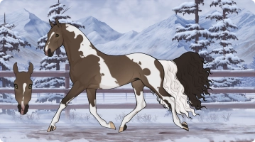 Thumbnail for 6673 TP Cardamom