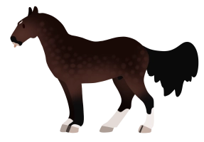 Thumbnail of 6981 LH Distinto