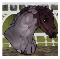 Thumbnail for 10650 WG Blood In The Water