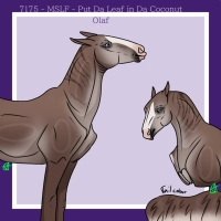 Thumbnail for 7175 MSLF Put Da Leaf in Da Coconut