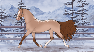 Thumbnail for 10803 MDE Sunshine on Snow