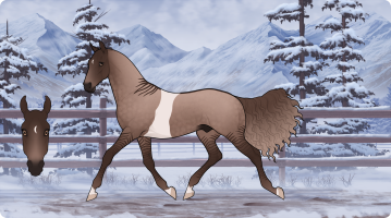 Thumbnail for 5872 Lakeside's Rum in the Coconut