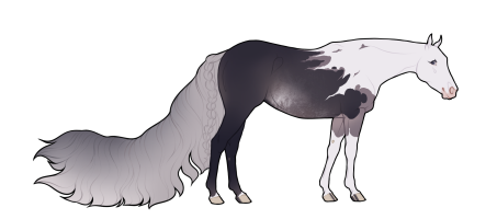 Thumbnail for 9555 BT North Wisteria