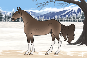 10654 Lakeside's Greyhound Thumbnail