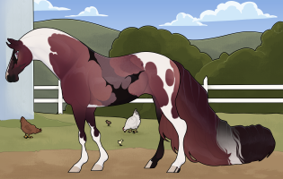 8707 BE Mourvedre Thumbnail