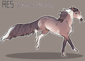Thumbnail for 9702 RES Killshot Darling