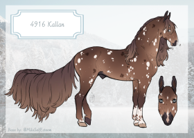4916 Kallan Thumbnail