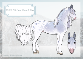 Thumbnail for 10852 SS Once Upon A Time