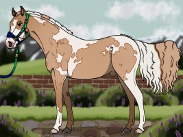 Thumbnail for 4624 Cold Sweet Sugar Rush