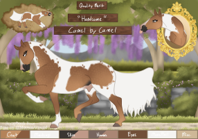 Thumbnail image for 6543 Camel by Camel