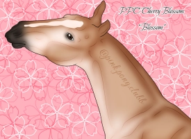 Thumbnail of 10756 PPC Cherry Blossom