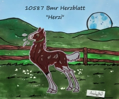 Thumbnail of 10587 Bmr Herzblatt