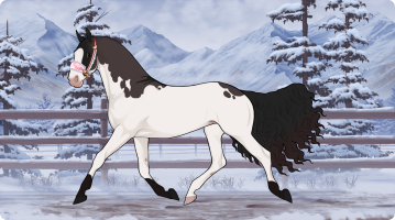 Thumbnail of 3784 Colorado Bulldog