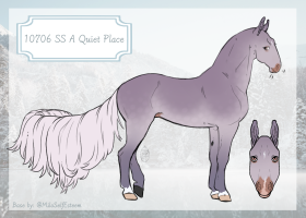 Thumbnail of 10706 SS A Quiet Place