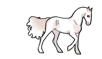Thumbnail of 0943 JSS Dreamer