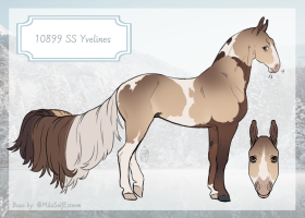 Thumbnail of 10899 SS Yvelines