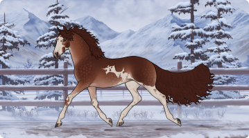 6877 Macaria Thumbnail