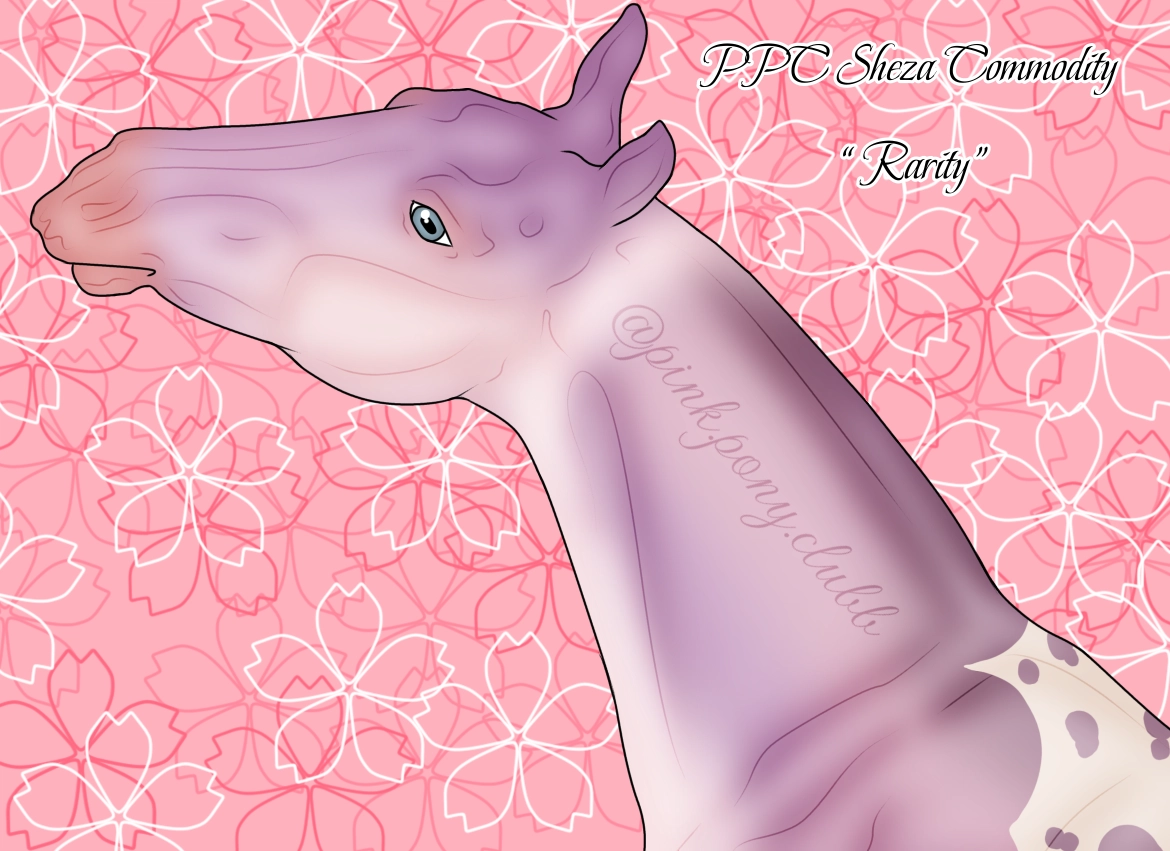 10186 PPC Sheza Commodity