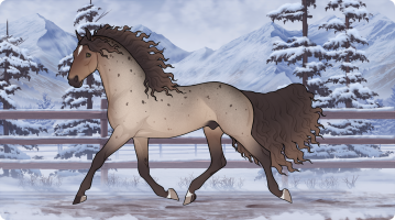 Thumbnail for 6309 HDS DRIFTIN' COWPOKE