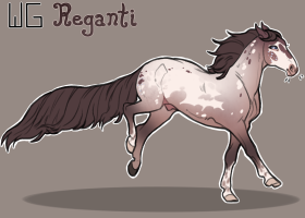 7721 WG Reganti Thumbnail