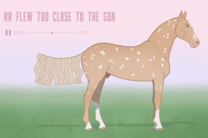Thumbnail image for 9839 RR Flew Too Close To The Sun