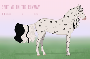 Thumbnail for 2359 Spot Me on the Runway