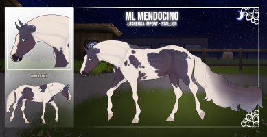 Thumbnail for 3786 ML Mendocino