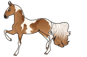 Thumbnail for 11055 SL Papaya Rules