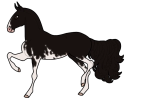 Thumbnail for 11084 Naturalist