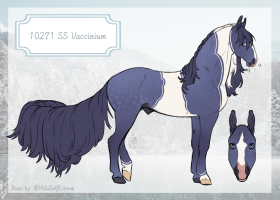 Thumbnail for 10271 SS Vaccinium
