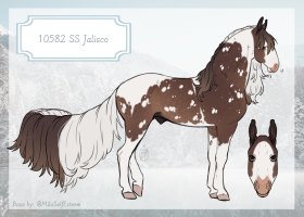 Thumbnail for 10582 SS Jalisco